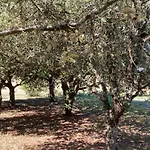 Le Murmure Des Fees 4* Issigeac