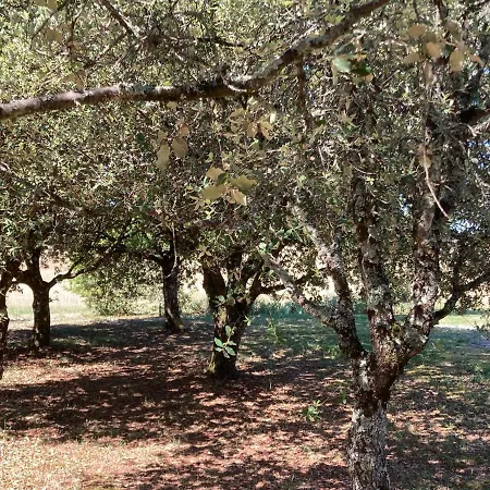 Le Murmure Des Fees * Issigeac