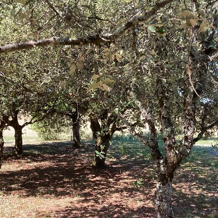 Le Murmure Des Fees 4* Issigeac