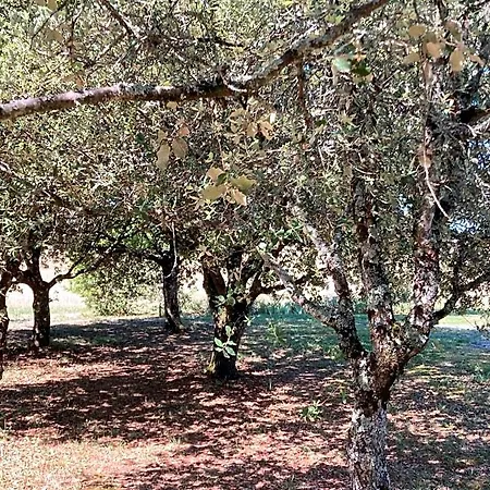 Le Murmure Des Fees 4* Issigeac