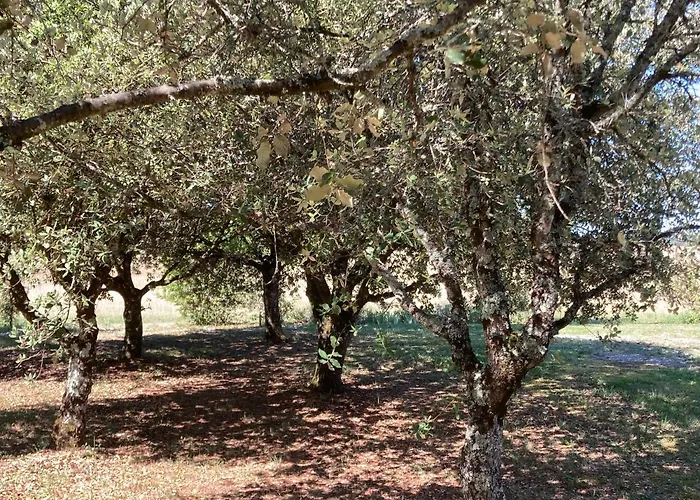 Le Murmure Des Fees 4* Issigeac